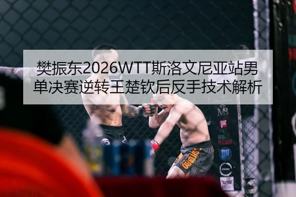 fan-zhen-dong-si-luo-wen-ni-ya-zhan-nan-dan-jue-sai-ni-zhuan-wang-chu-qin-hou-fan-shou-ji-shu-jie-xi-2-790.jpg