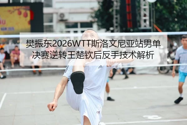 樊振东2026WTT斯洛文尼亚站男单决赛逆转王楚钦后反手技术解析
